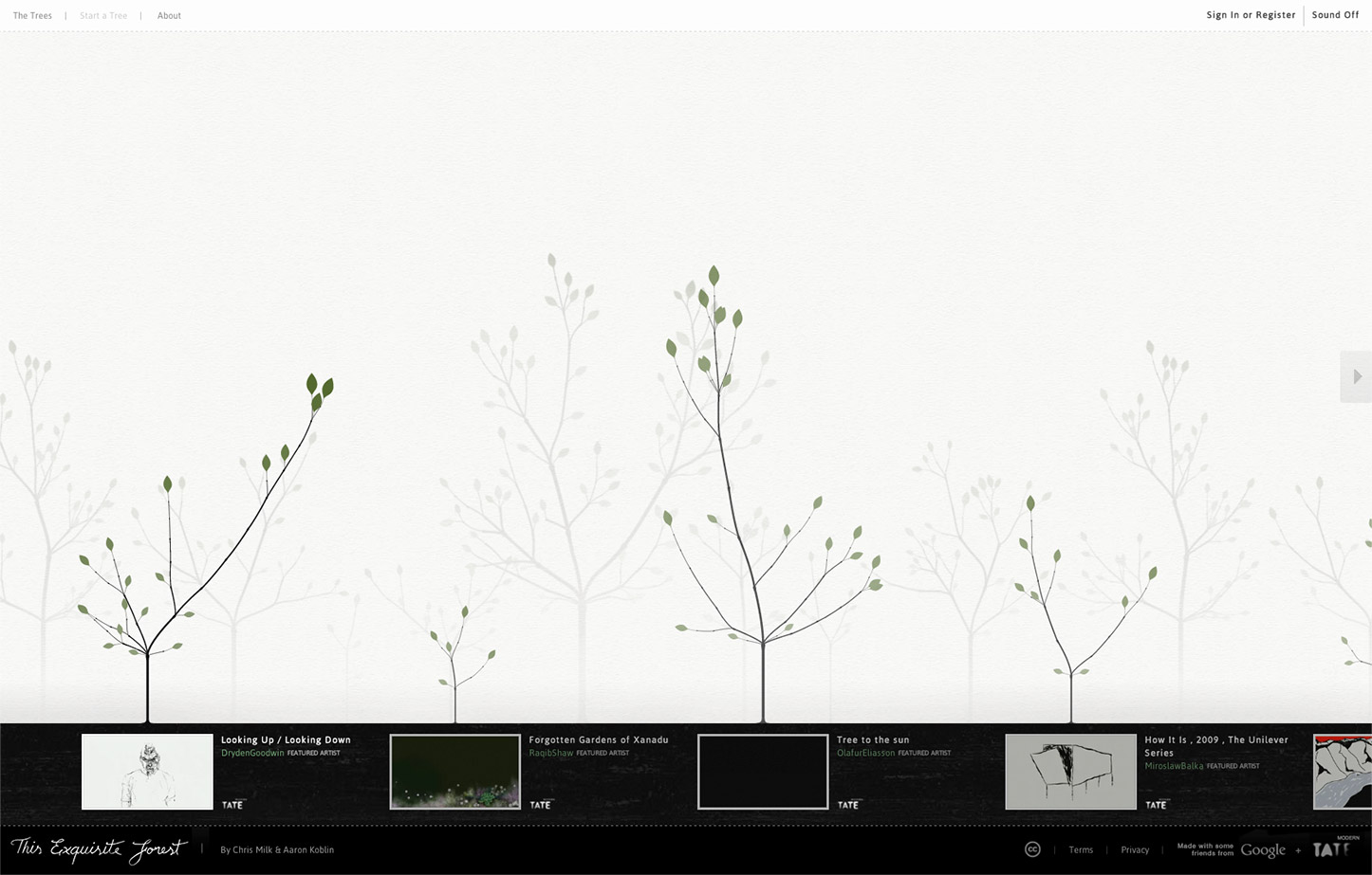 This Exquisite Forest